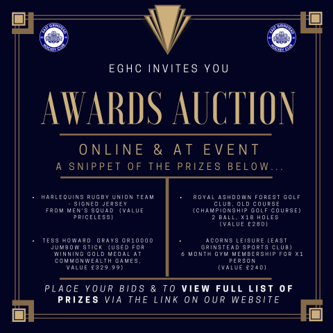 Awards---Auction-24